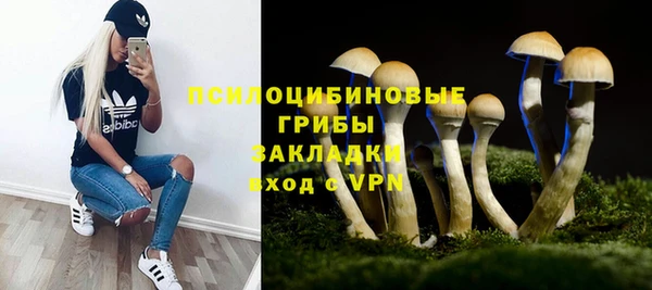 дживик Алзамай