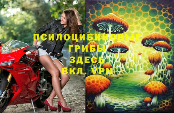 меф Алексин