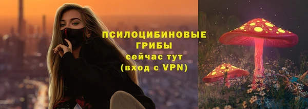 дживик Алзамай