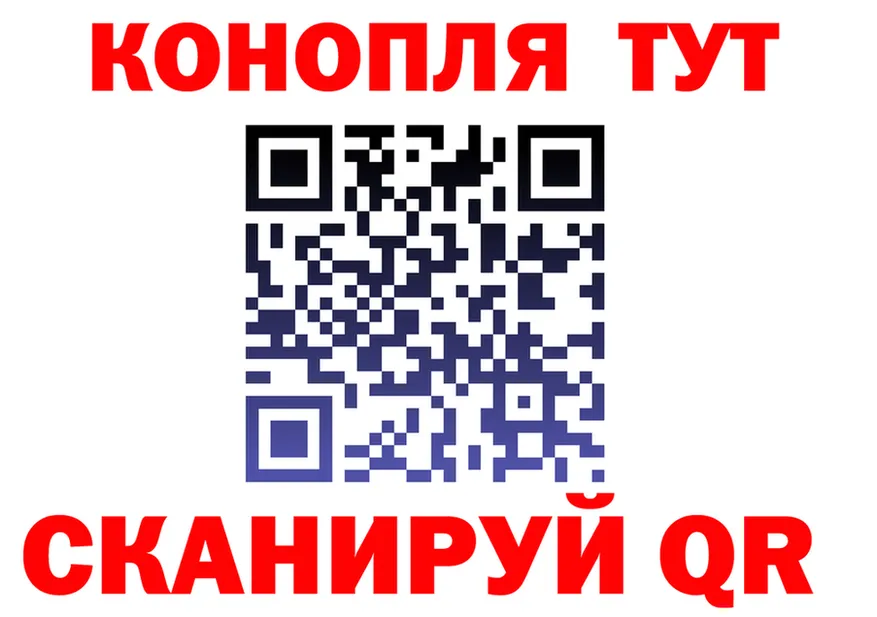 APVP СК КРИС ТОР площадка OMG Елизово