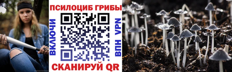 Псилоцибиновые грибы ЛСД  kraken зеркало  Елизово  цена  